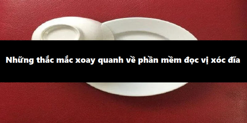 Những thắc mắc xoay quanh về phần mềm đọc vị xóc đĩa
