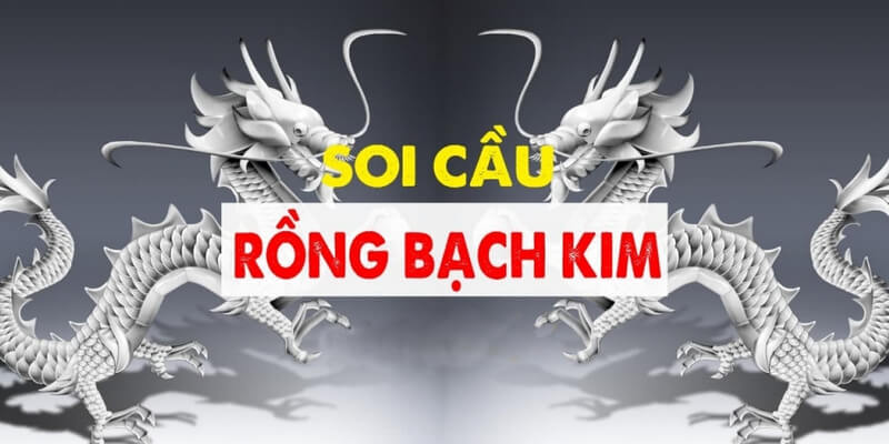 Soi cầu rồng bạch kim là phương pháp cung cấp những con số chuẩn xác mỗi ngày