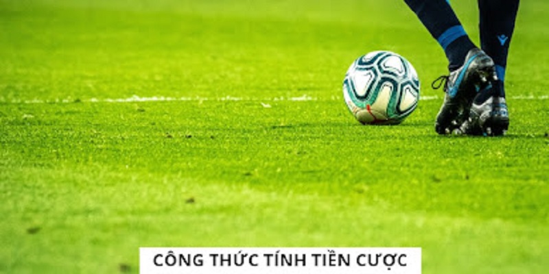 Tìm hiểu về cách tính tiền khi thắng thua giúp phân bố dòng tiền hợp lý 